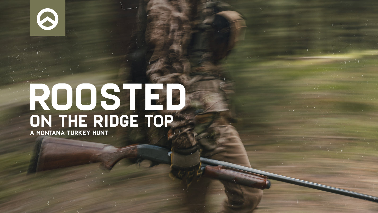 NEW FILM: Roosted on the Ridge Top: A Montana Turkey Hunt