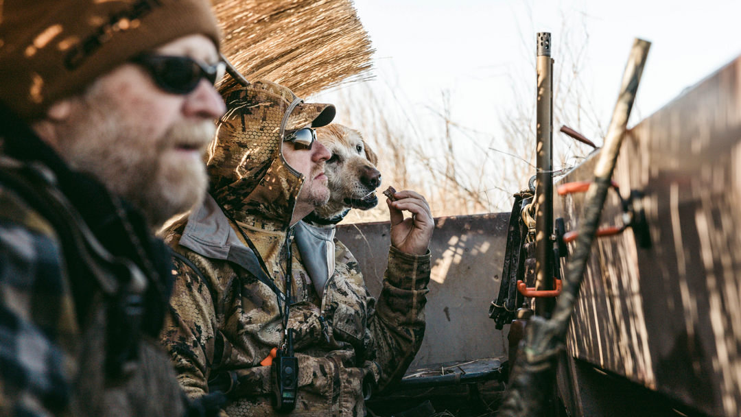 Fine tune your duck hunt with CyberScout