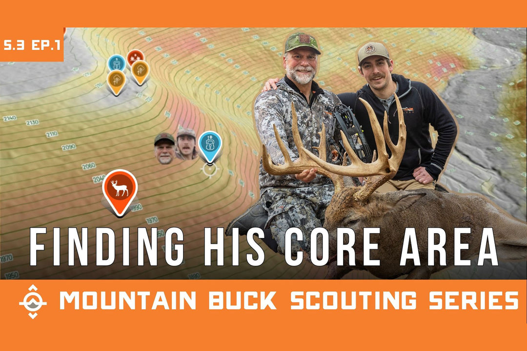 Finding the Buck on Your Trail Camera - Hill Country