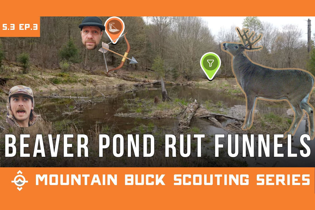 Scouting Beaver Pond RUT Funnels