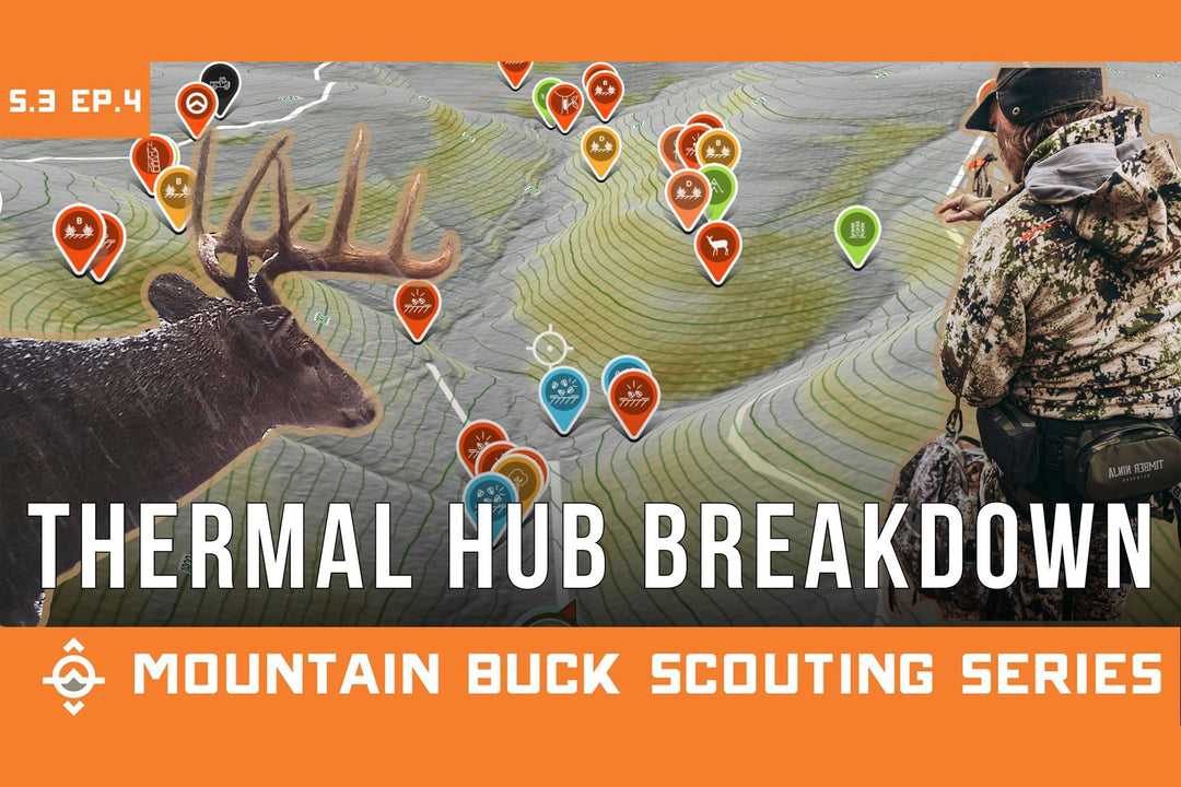 Scouting a Thermal Hub for Deer Hunting Mature Bucks