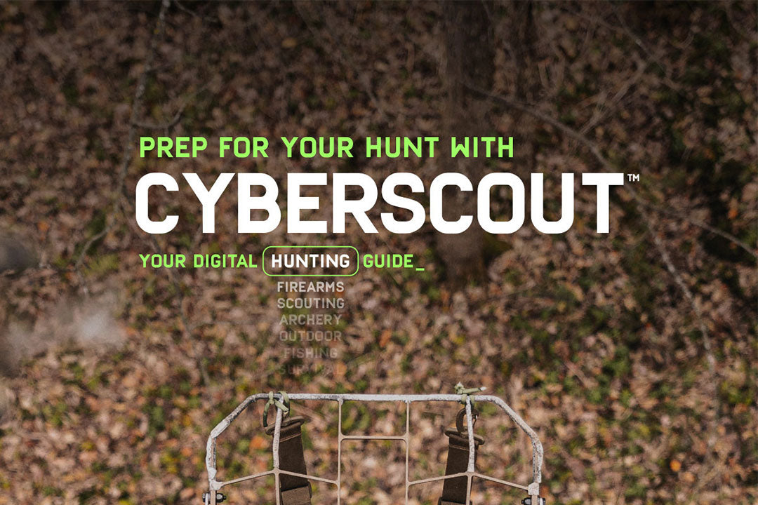 Mastering CyberScout: Spartan Forge's Knowledge Powerhouse