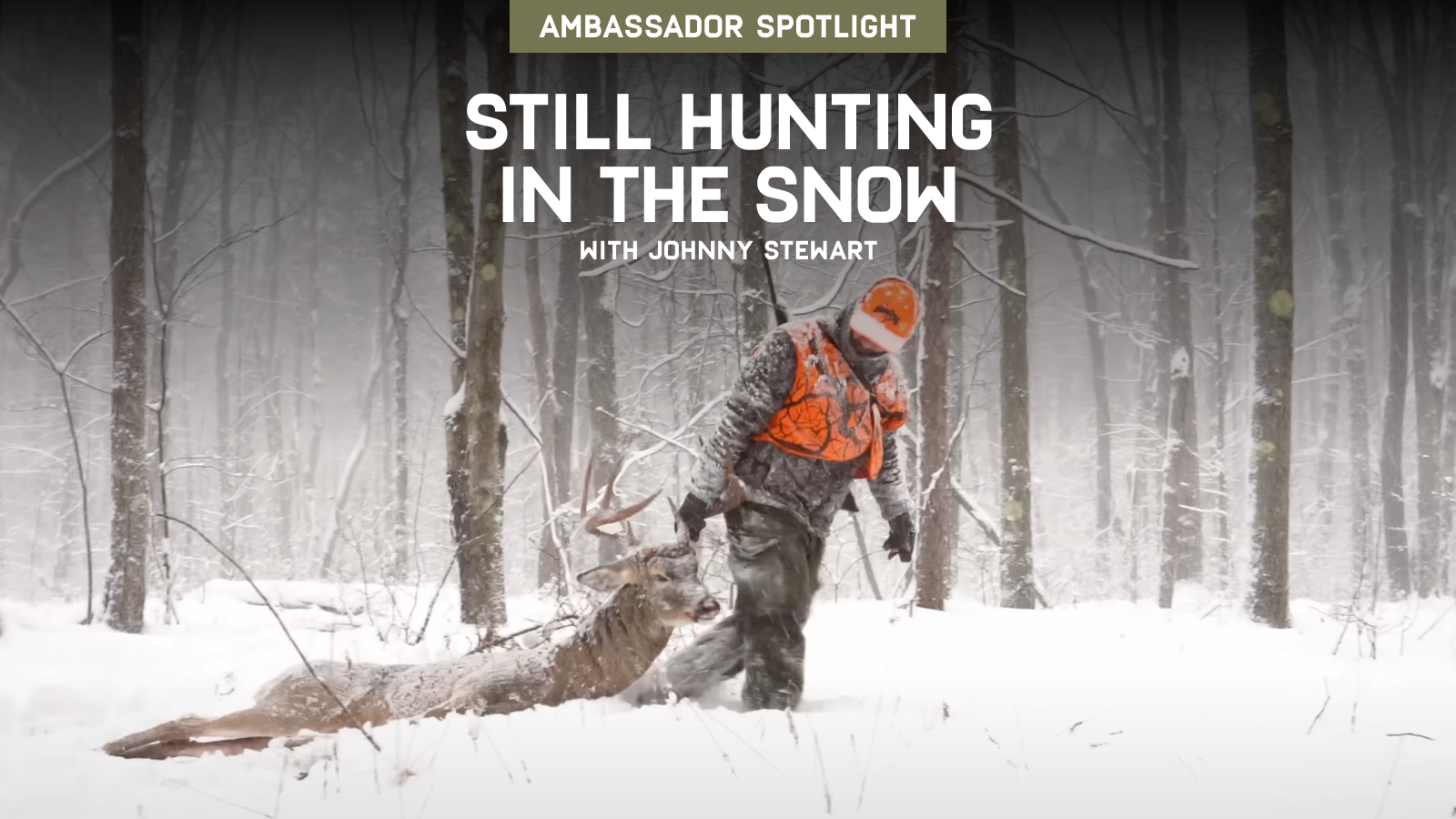 Still Hunting in the Snow | Johnny Stewart's Public Land Stud