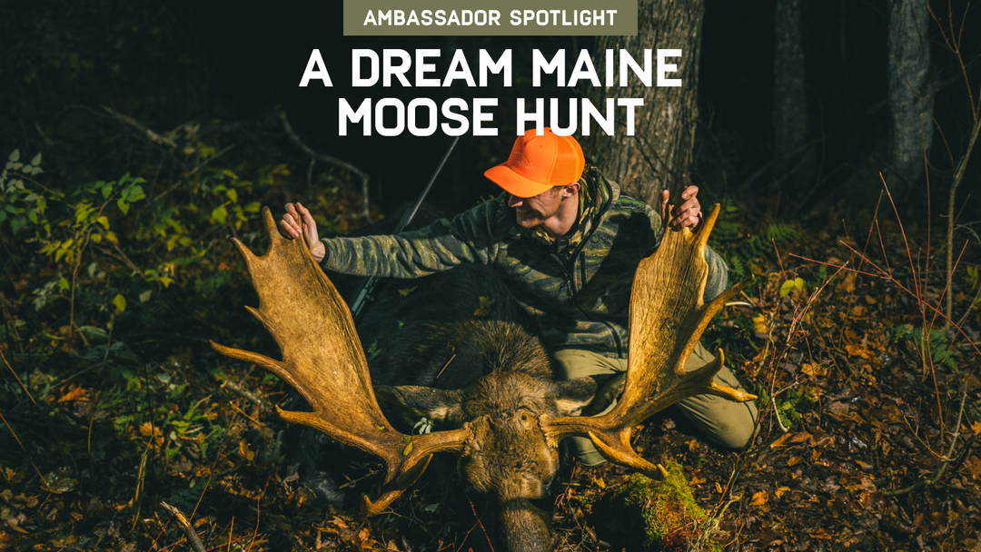 A Dream Maine Moose Hunt