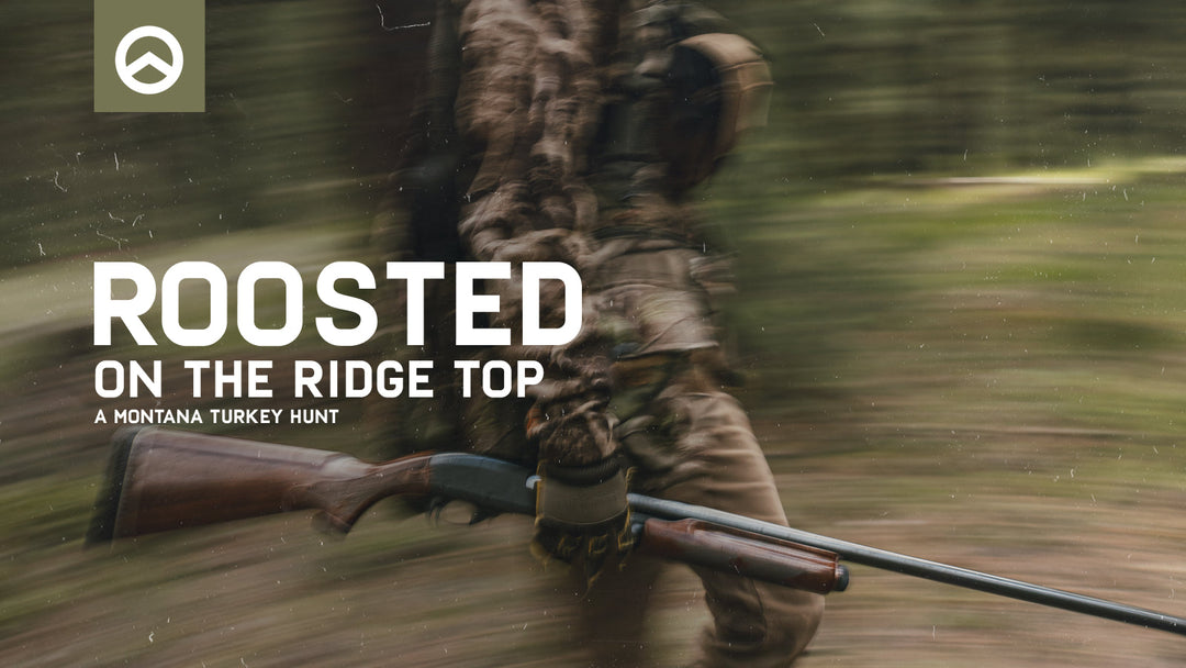 NEW FILM: Roosted on the Ridge Top: A Montana Turkey Hunt