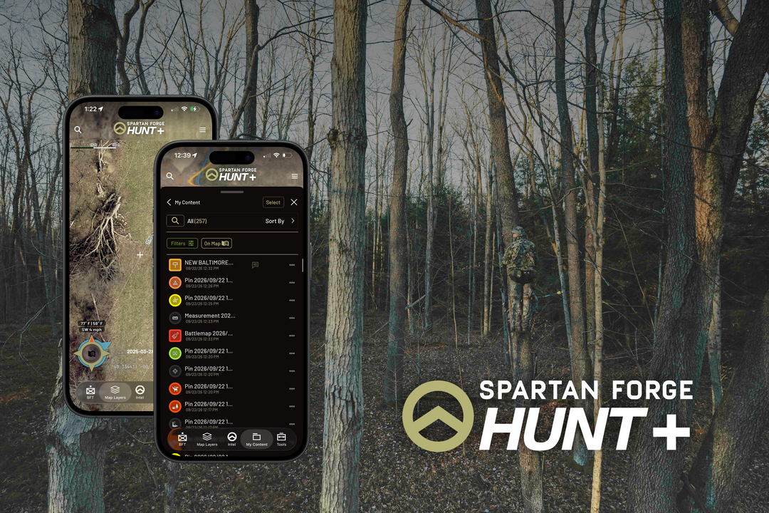 Your Hunt, Organized: Meet the Updated My Content